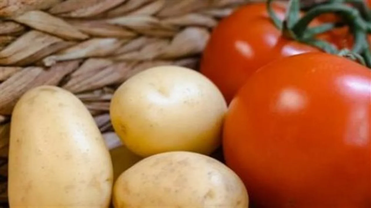 وفرة المحاصيل.. تراجع أسعار الطماطم والبطاطس داخل أسواق محافظة الإسماعيلية حالياً